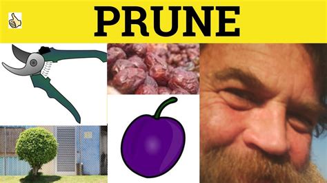 pruned deutsch|prune meaning slang.